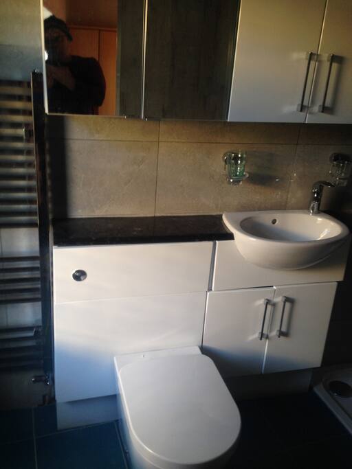 Toilet & Sink