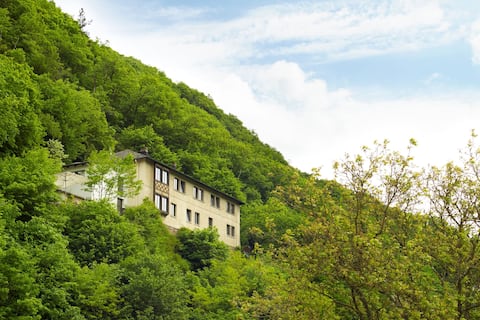 Luxury group accommodation Haus am Berg Bad Bertrich