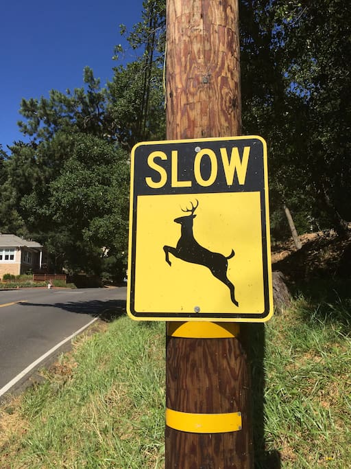 Sign near house. Lots of wildlife in this rustic neighborhood.