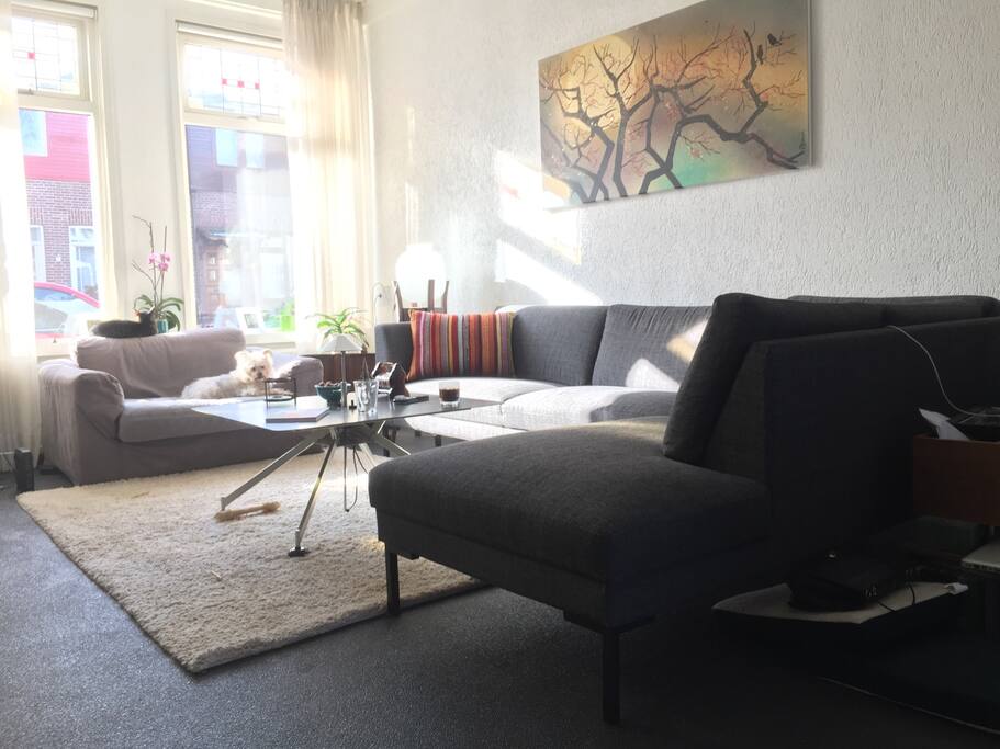 Big living room with open kitchen