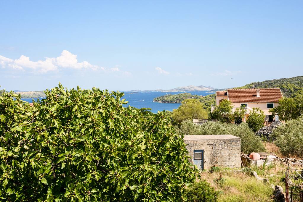 Bedroom view