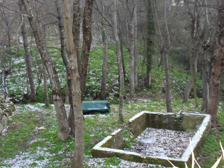 Giardino con ruscello (Garden)