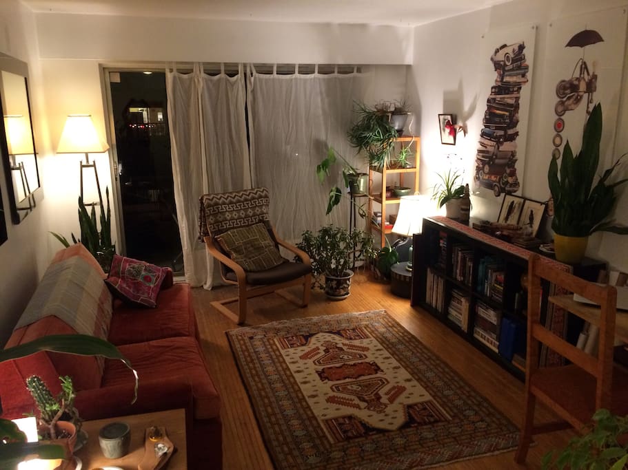 Comfy living room with lots of throw pillows and a pull out couch.