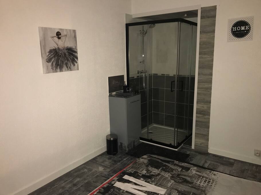 Douche et lave main dans la chambre.