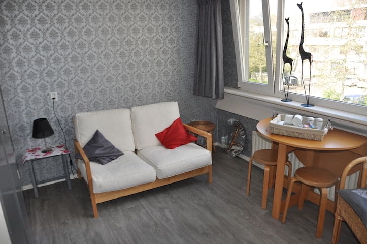 Rooms in a quiet area in GOUDA,