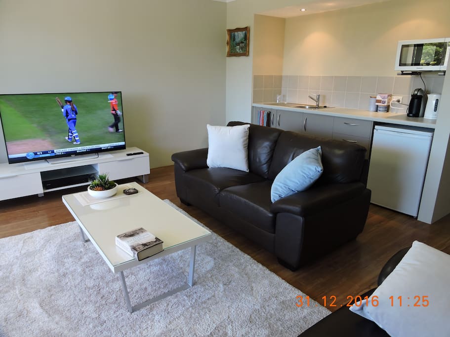 Sitting area/Kitchenette.