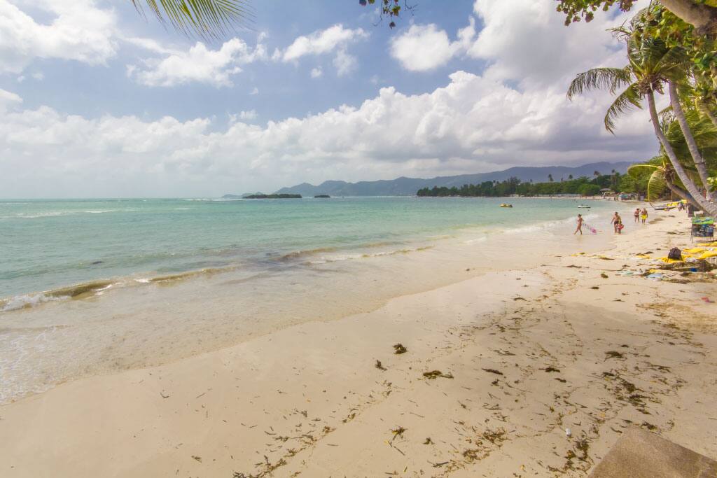 Plage à 50 m à pied