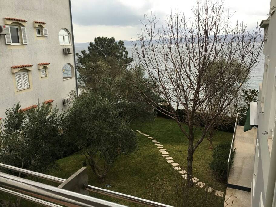 Garden view