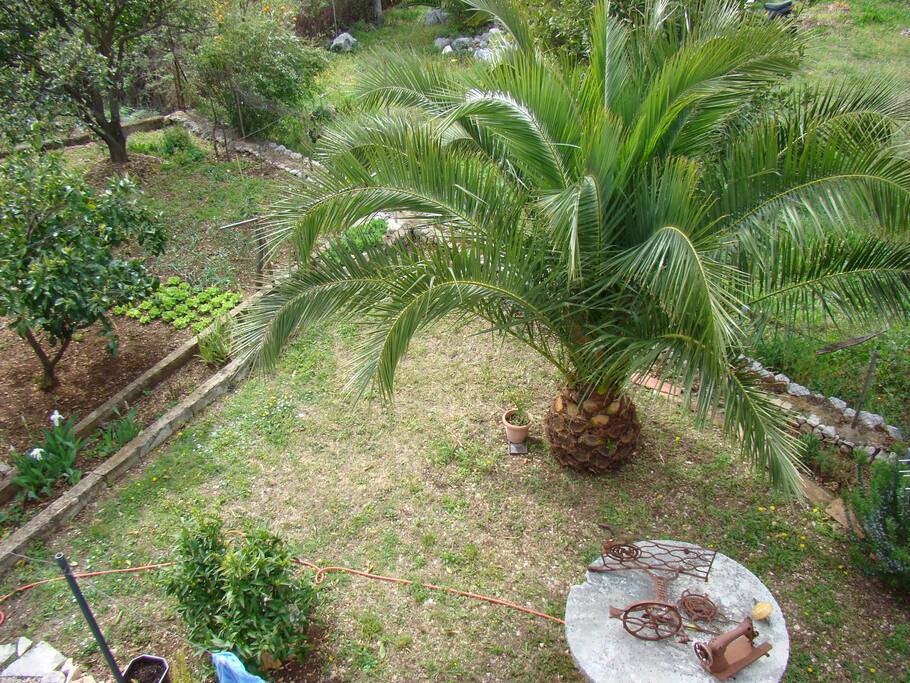 view through the window of a studio apartment no 2