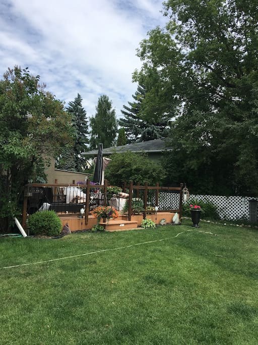 Large yard for guest dogs