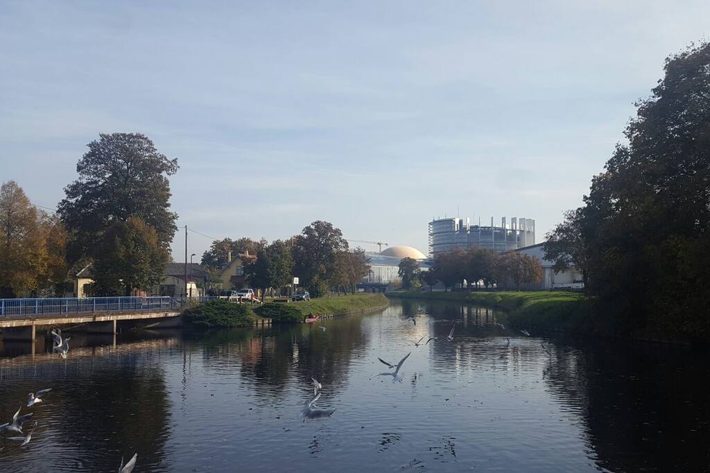 European institutions following the river