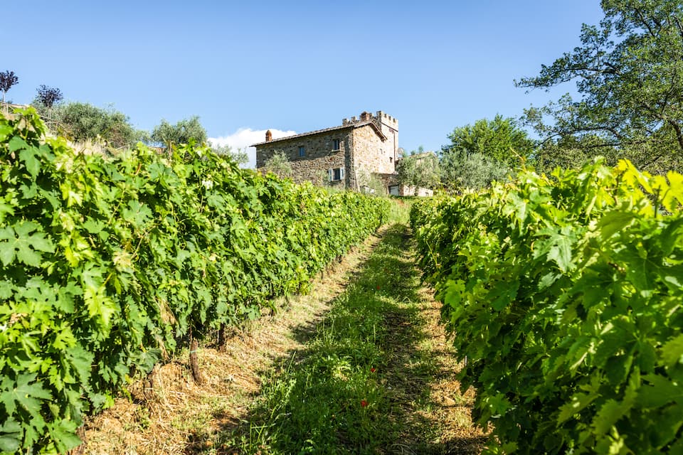 Villa Montemaggio, a 17th-century Chianti farmhouse, Radda in Chianti, Tuscany, Italy, photo 4 of 10