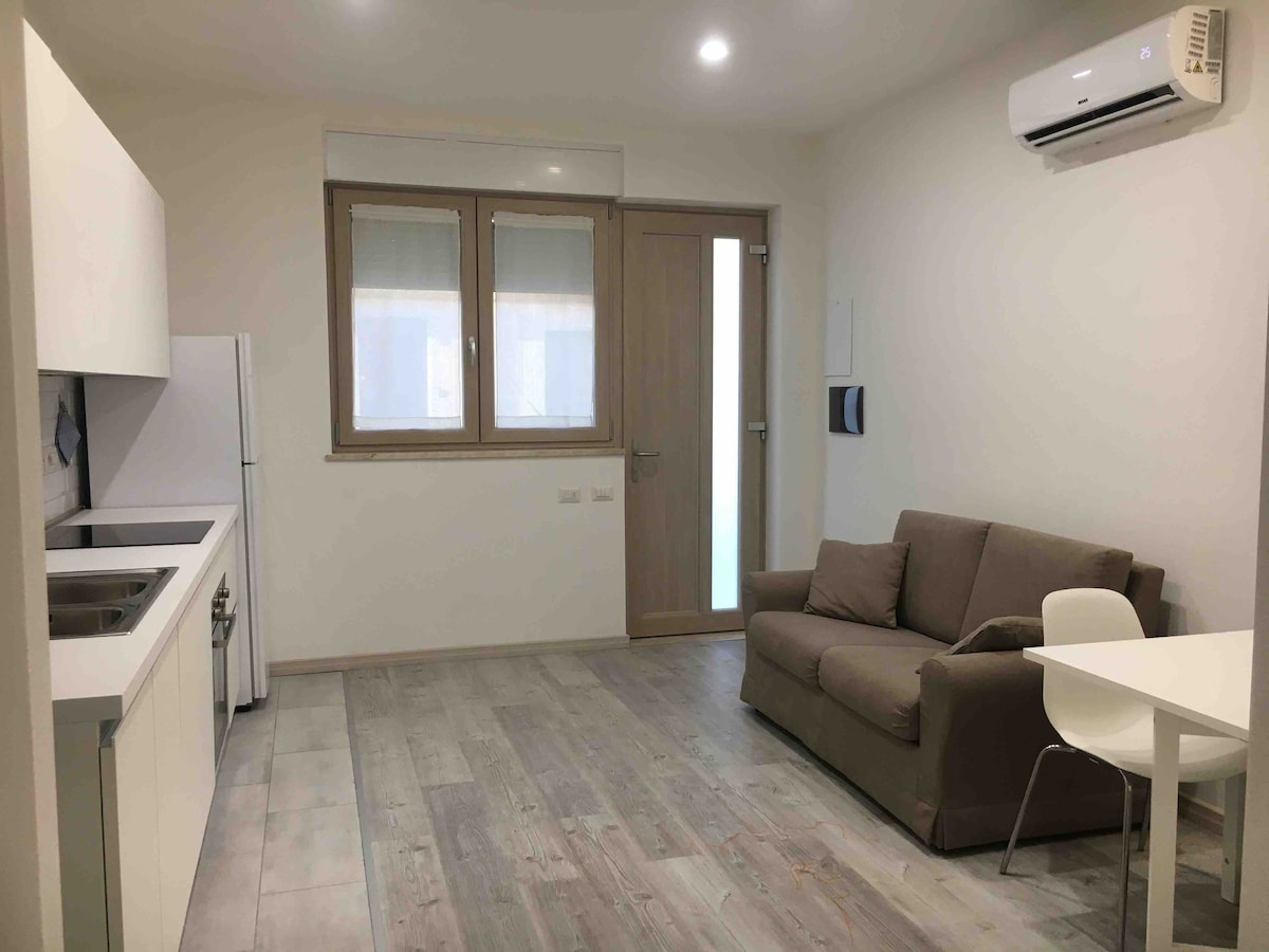 A spacious living area includes a comfortable sofa, a dining table with chairs, and a kitchenette featuring a sink and cooking appliances. Natural light enters through large windows, and a door leads to the outside, enhancing the open feel of the space.