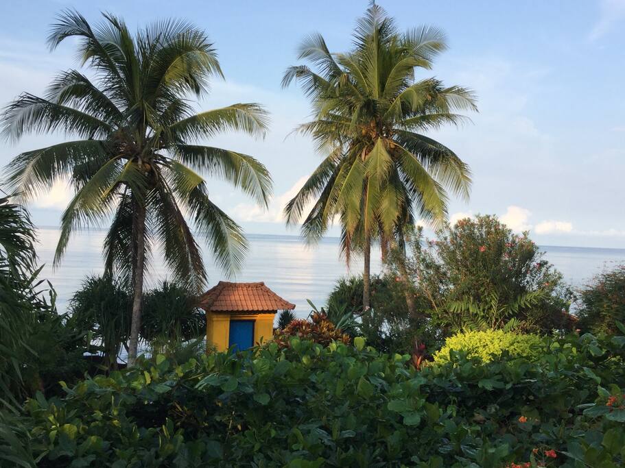View from house