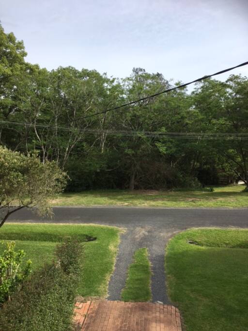 View from verandah