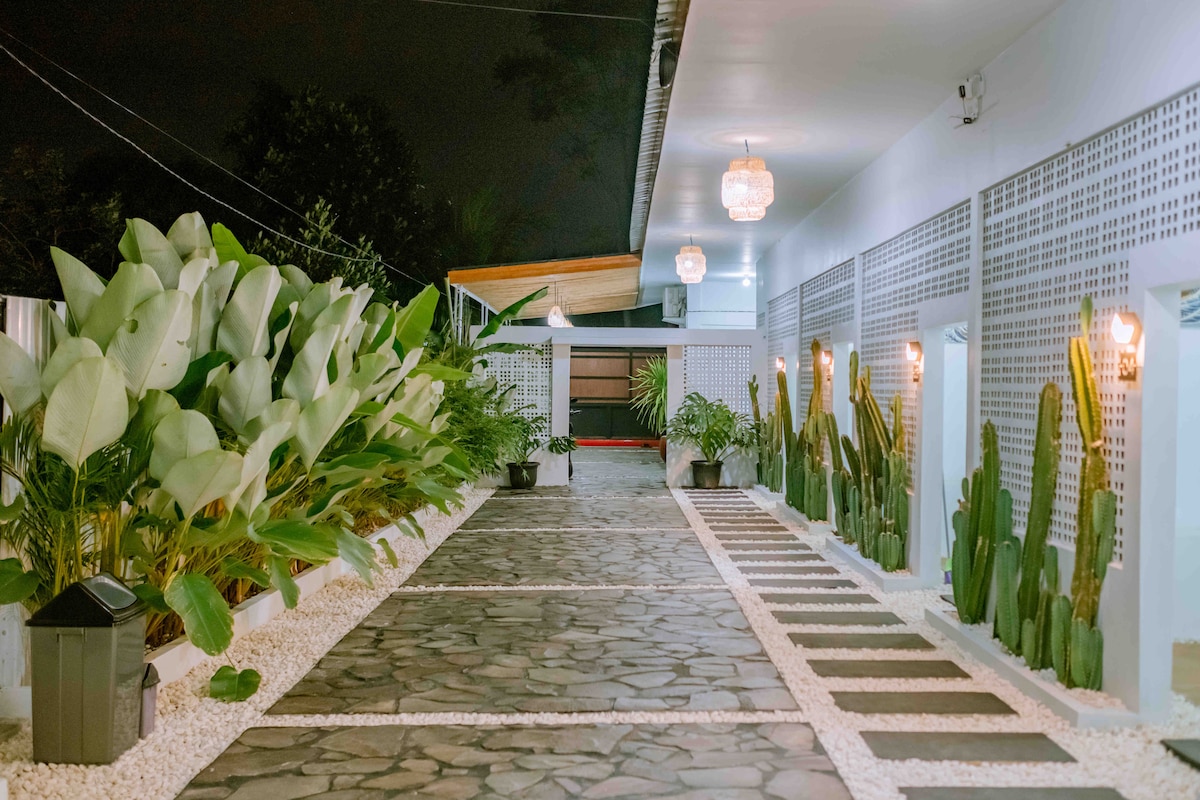 A neatly arranged pathway leads through an outdoor garden, lined with large green plants and decorative cacti. Soft lighting enhances the ambiance of the space, with distinct wall patterns and charming light fixtures visible along the walkway.