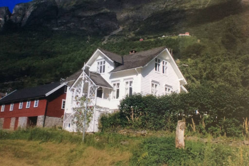 The house