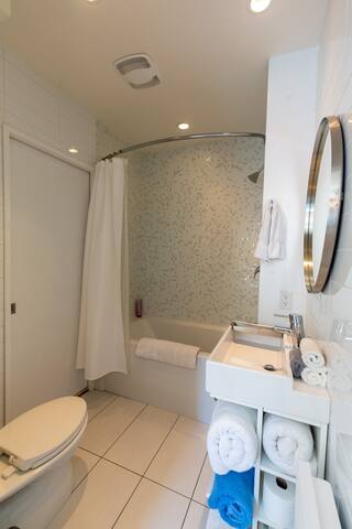 Superb 2 suite house 1 office – Plateau Mont-Royal gallery image 5