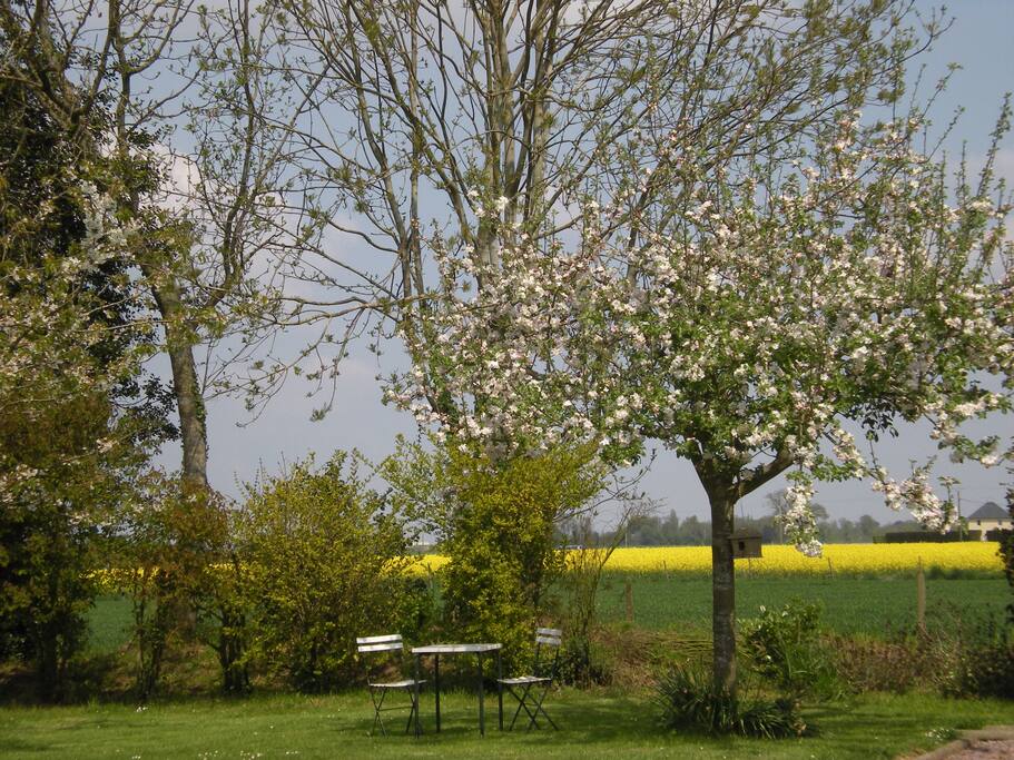 Vue du jardin