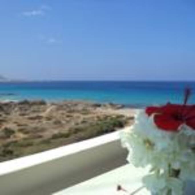 view from balkony