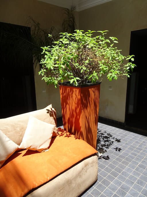 patio lumineux