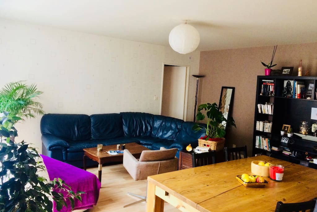 espace salon / salle à manger