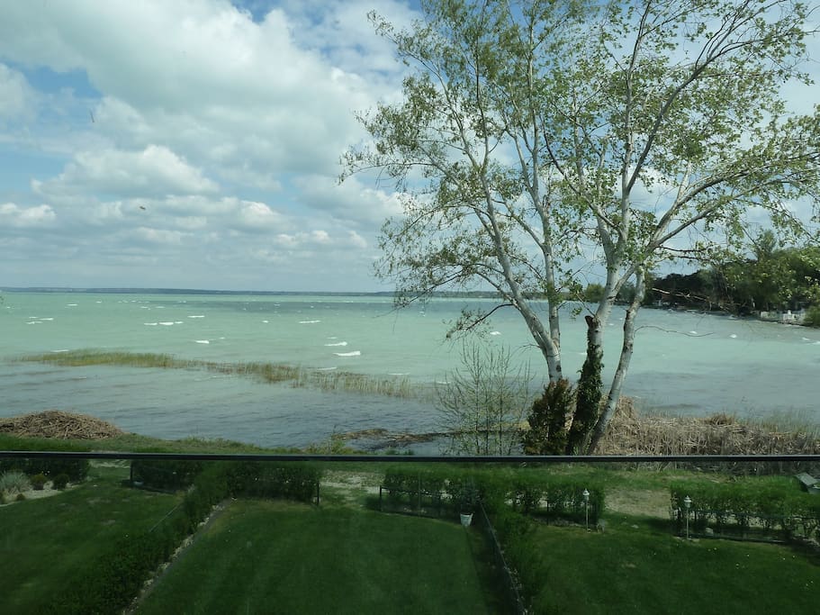 View from the terrace in the spring