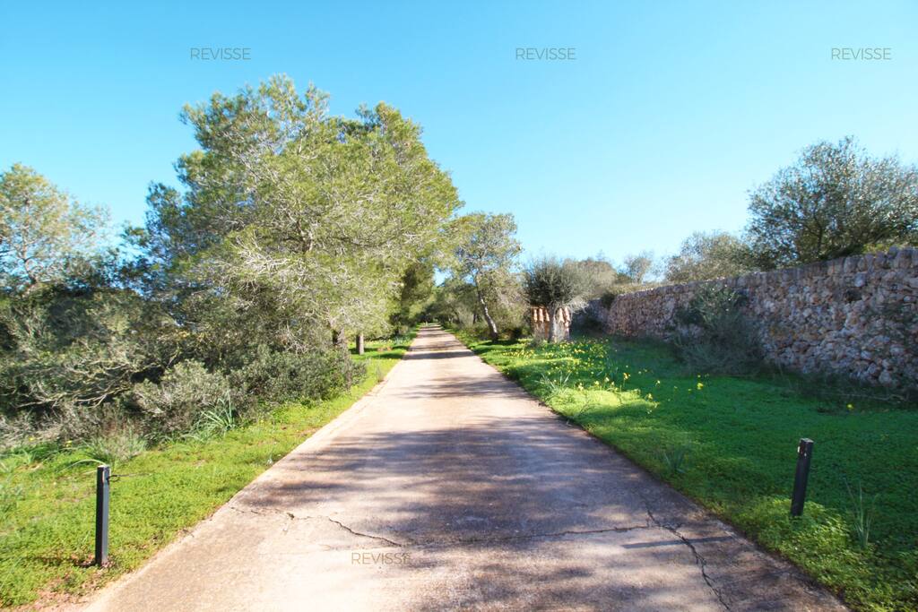 Gorgeous villa with very large plot