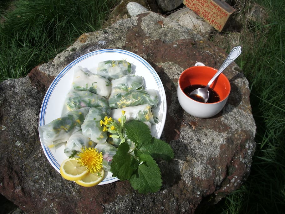 Menus végétariens pour une participation de 12 euros. Ici une petite assiette de rouleau de printemps.