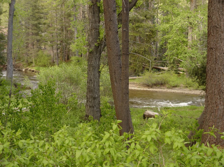 Upper Truckee River steps away