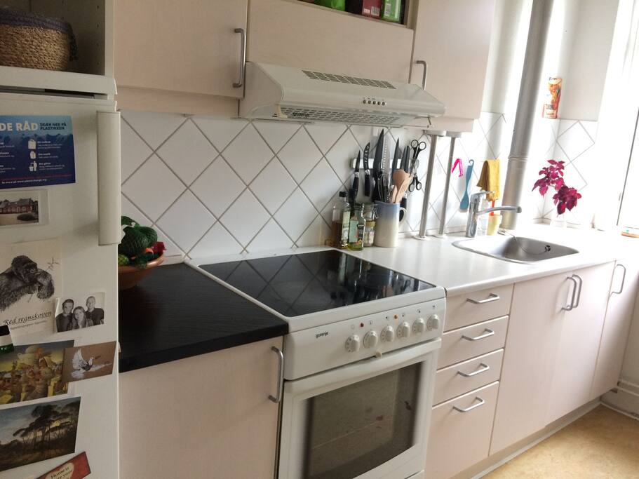 Fully equipped kitchen free to use