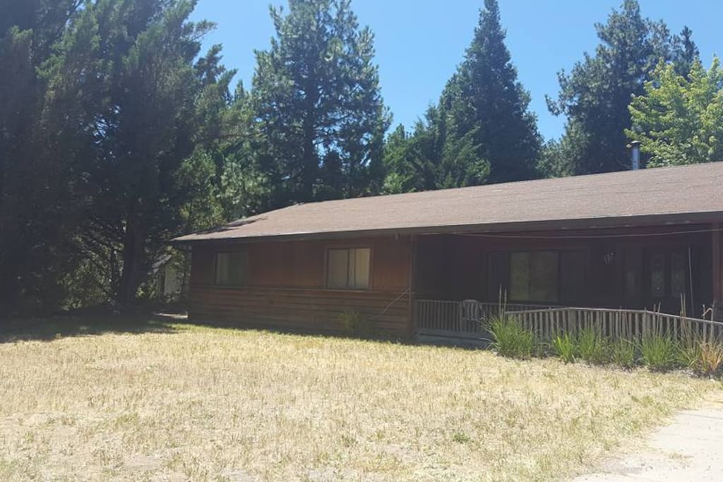Large front yard with wheelchair accessible entrance