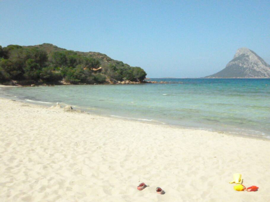 spiaggia