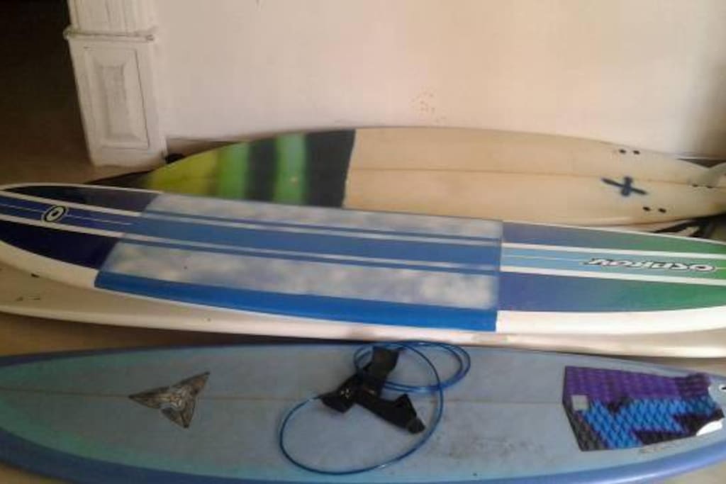 Surf Boards