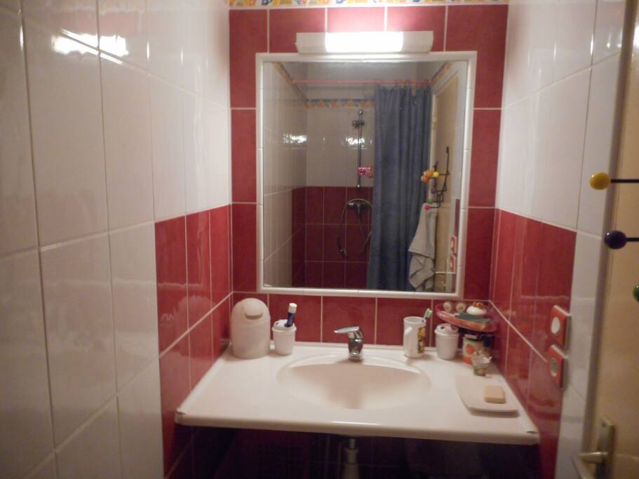 salle de bain avec lavabo et douche séparée des toilettes