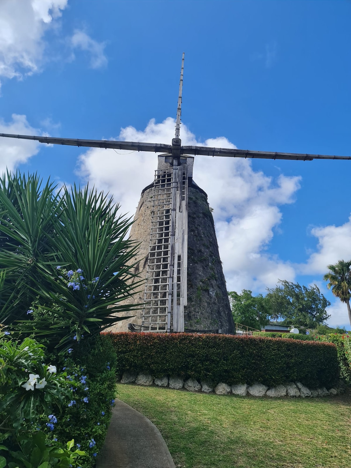 A historic windmill rises against a clear blue sky, showcasing its large wooden blades. Lush greenery and colorful plants surround the base, enhancing the natural landscape. A neatly trimmed hedge frames the structure, contributing to the charm of the outdoor area.