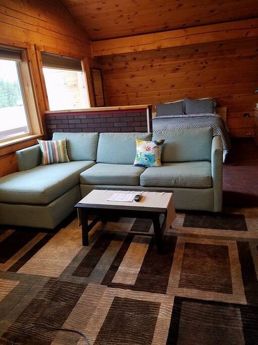 Sleeper Sofa