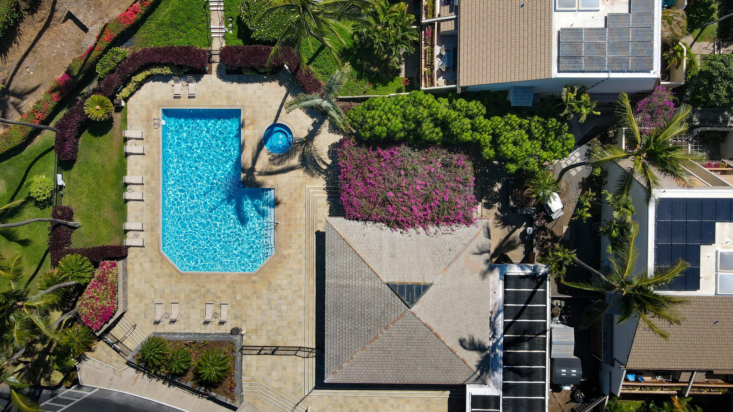 Condo in Kihei · ★4.93 · 1 bedroom · 2 beds · 2 baths - Image 31