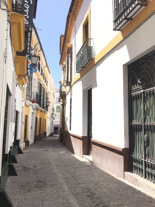 Calle san isidoro