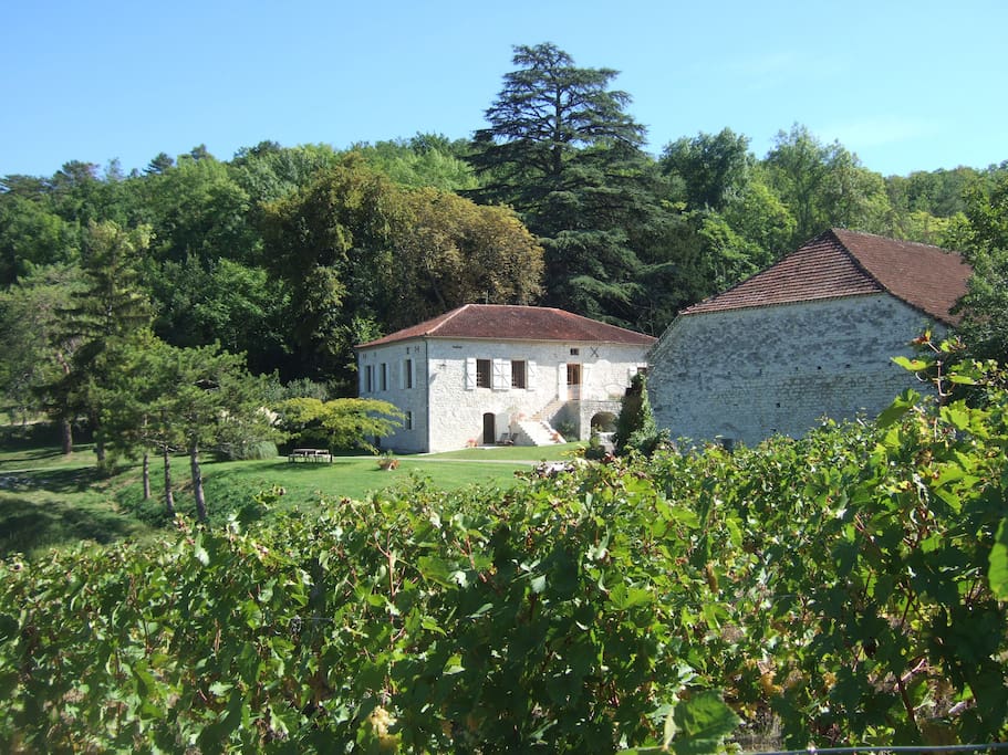 Overview of Lamoulere from the vines