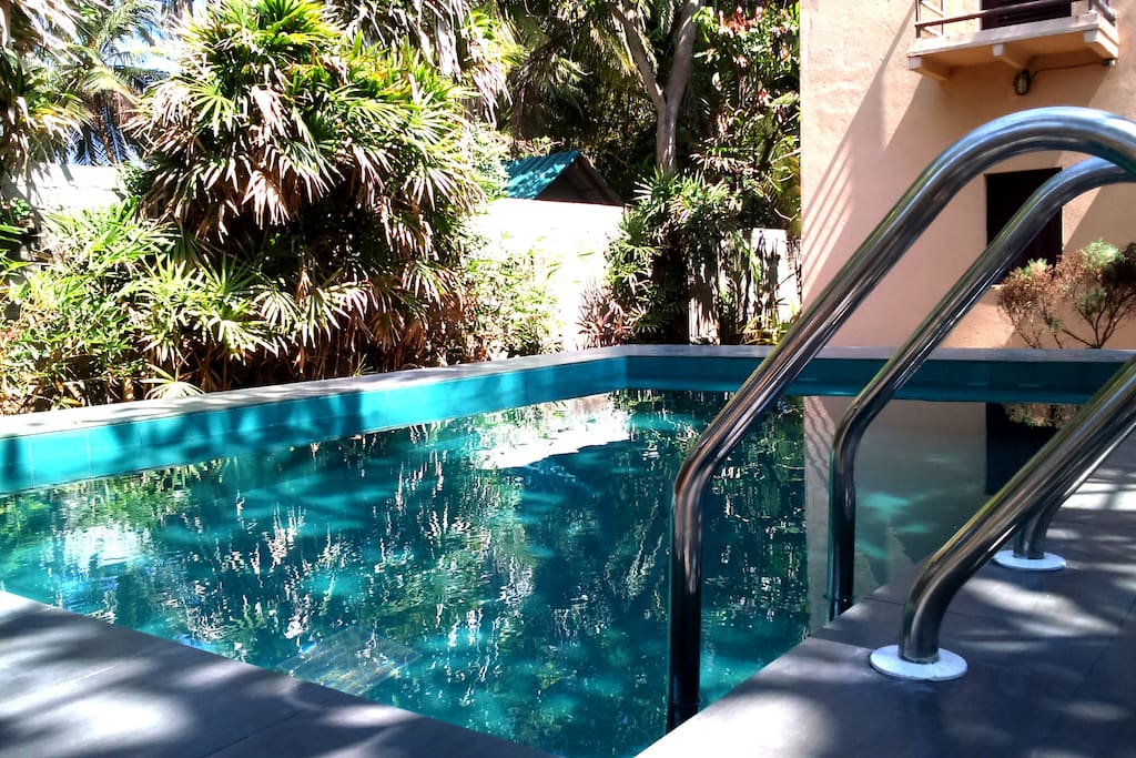 brand new fresh water swimmingpool...