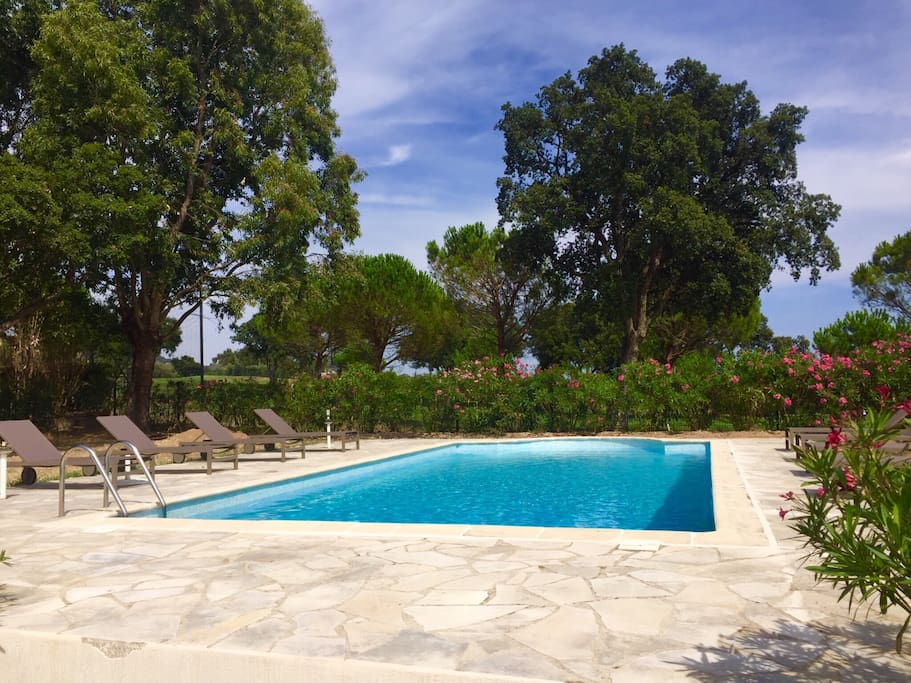 Piscine privée 10x5m