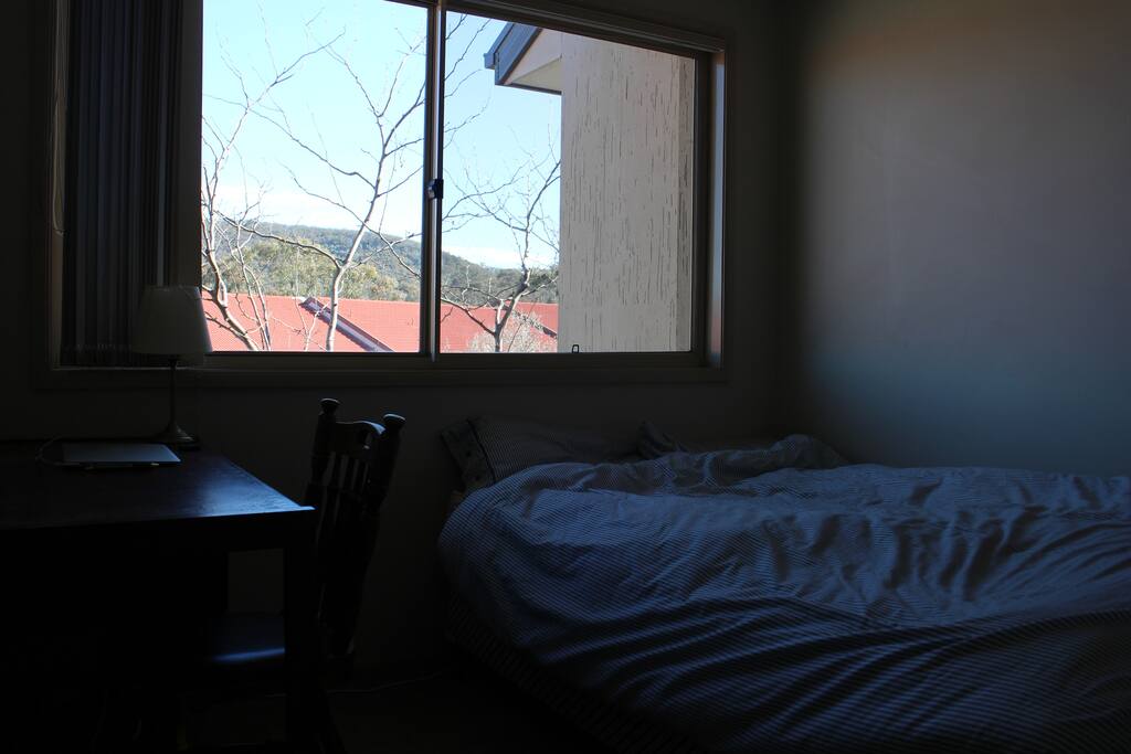 Bed and Desk