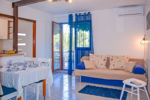 Successful Airbnb property: Apartman Mirko-A3 in Molat