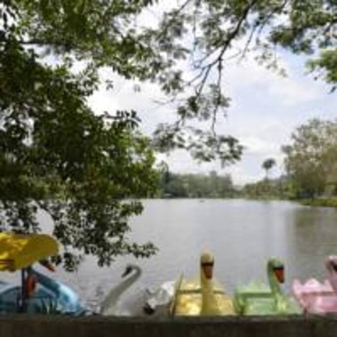 Pedalinhos no Lago de Javari