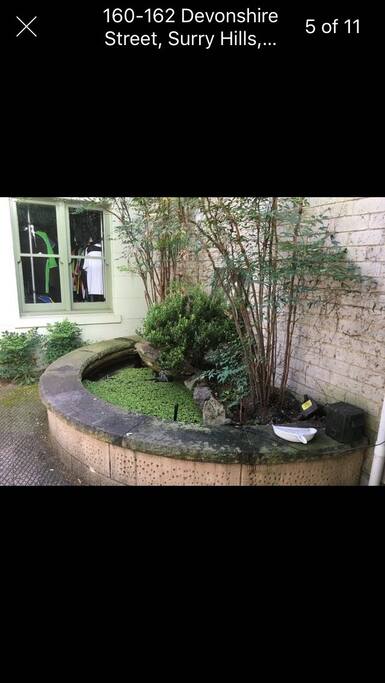 Court yard and fish pond