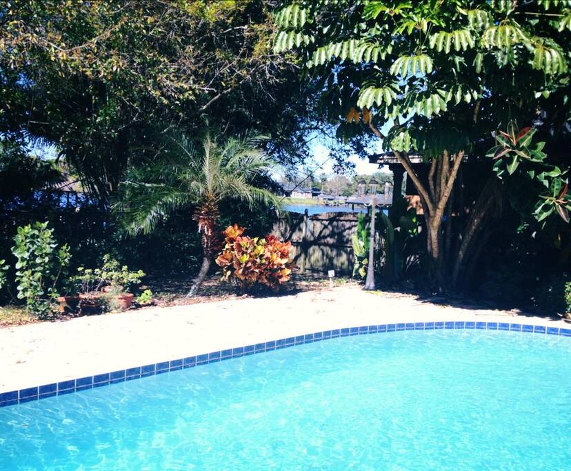 View of the lake from the pool