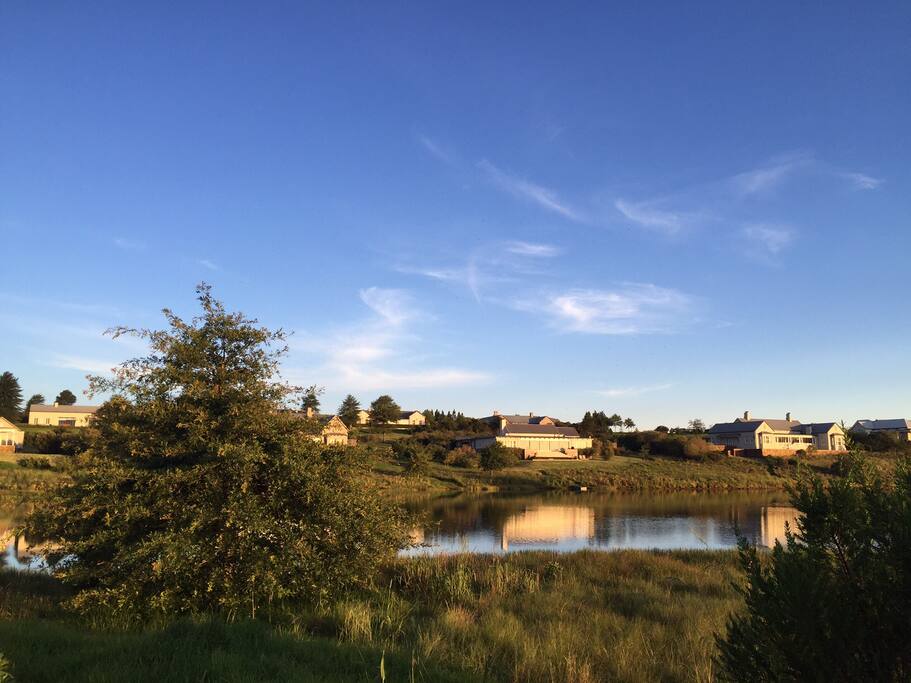 The estate