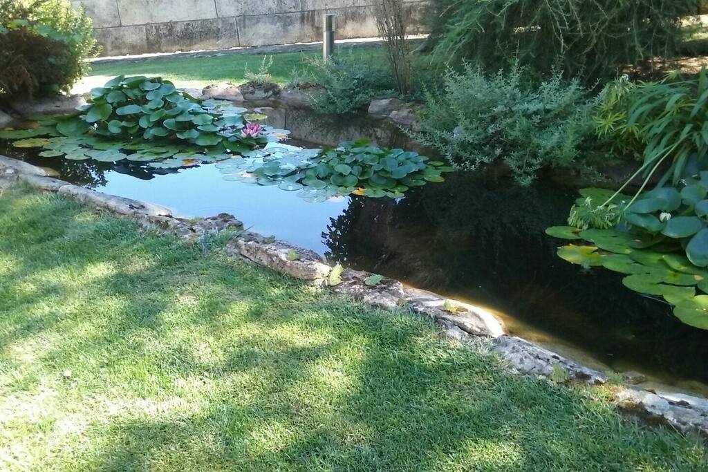 Estanque del jardín