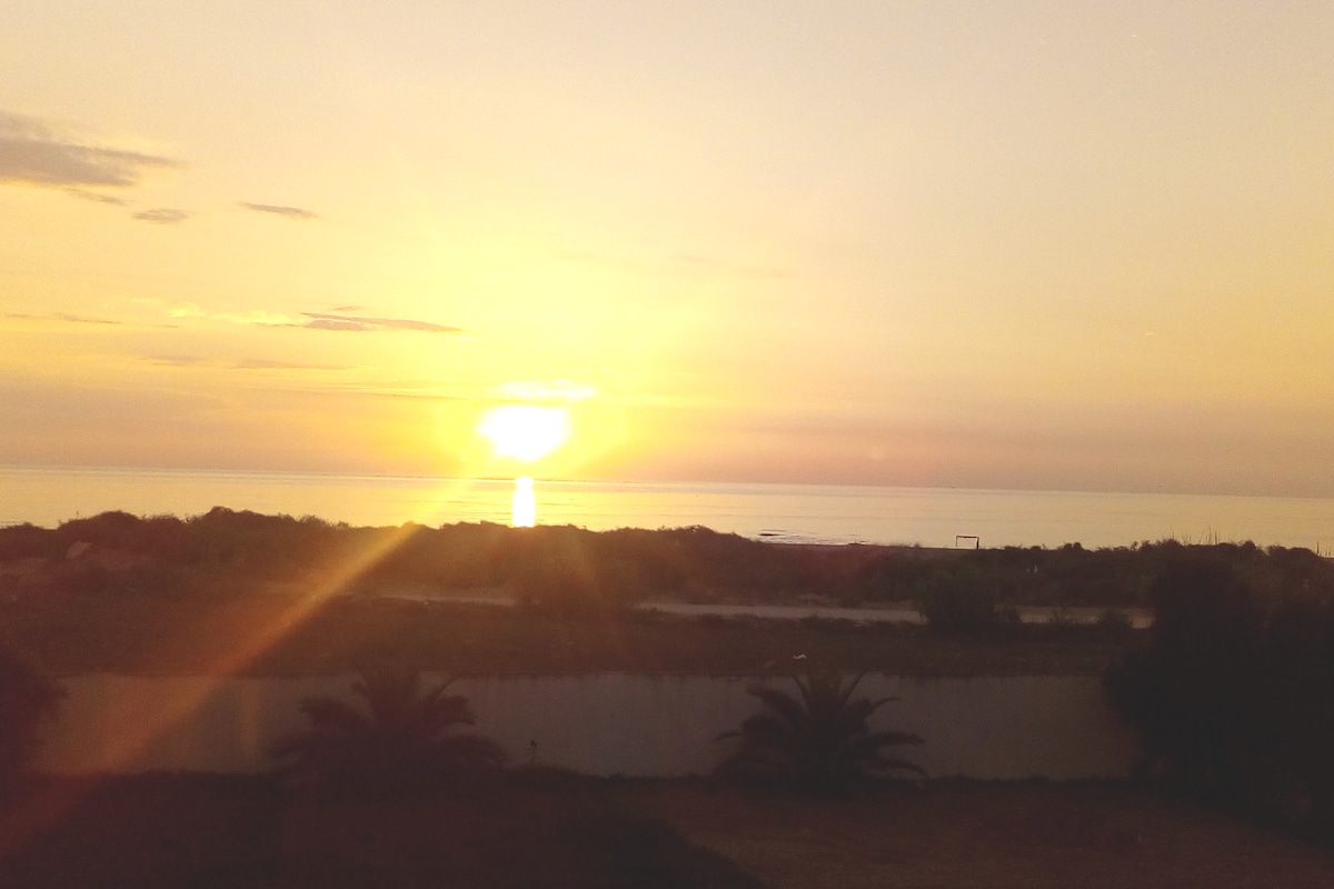 A serene sunset is captured over the ocean, with warm hues of orange and yellow blending into the horizon. Soft light reflects off the water's surface, while silhouetted palm trees frame the view against a soft background of clouds.
